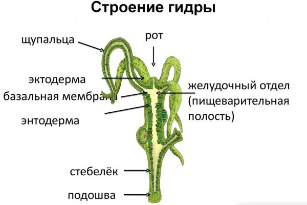 Сайт kraken зеркала